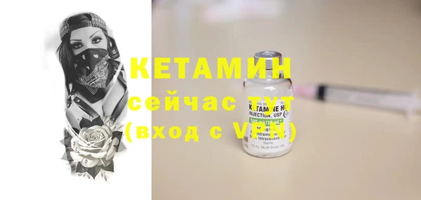 гидра Каменка
