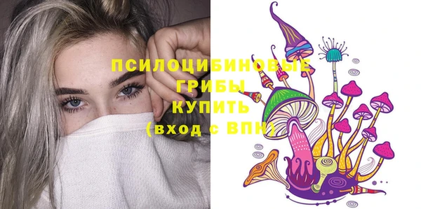 дурь Алексеевка
