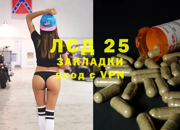 дмт Алзамай
