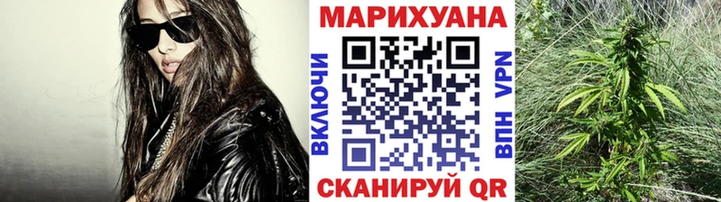 Бошки марихуана планчик  Карабаш 